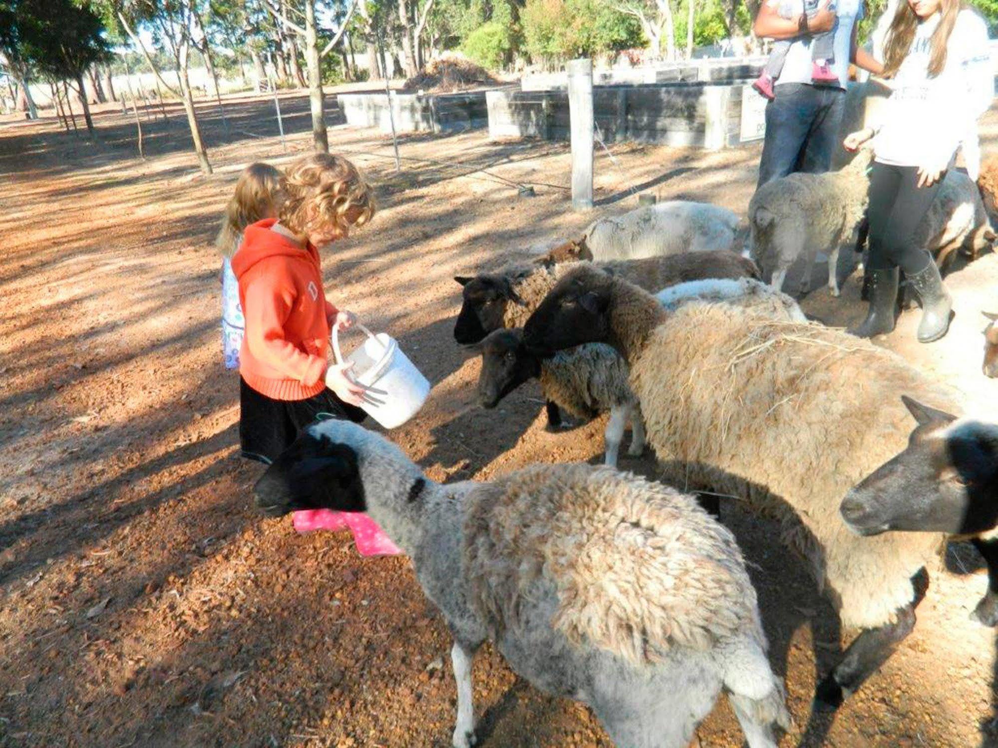 Margaret River Hideaway & Farmstay Eksteriør billede